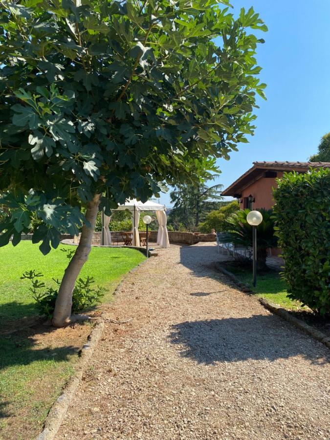 Вілла La Casa Di Irene Nel Golf Club Рим Екстер'єр фото